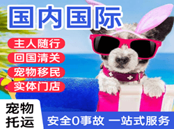 乌拉特中旗海流图航空货运国际宠物托运 【国